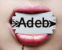 Adeb Chaware